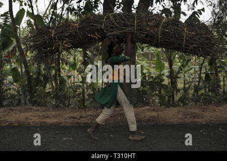 Le Bangladesh, Naogaon. 6ème apr 2019. Un Santal girl carie au chef de direction de l'arbre et leaf clover utiliser pour cuire le combustible qu'ils collectent dans la jungle de la forêt près de Dhamoirhat, district de Naogaon partie nord du pays. Credit : MD Mehedi Hasan/ZUMA/Alamy Fil Live News Banque D'Images