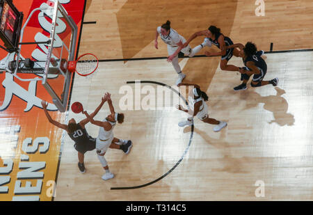 Tampa, Floride, USA. 5ème apr 2019. DIRK SHADD | fois.Notre Dame Fighting Irish et les Huskies de UConn bataille pour la balle lâche pendant la deuxième moitié de leur NCAA Final Four du jeu de demi-finale vendredi, 5 avril, 2019 à Tampa. Credit : Dirk Shadd/Tampa Bay Times/ZUMA/Alamy Fil Live News Banque D'Images