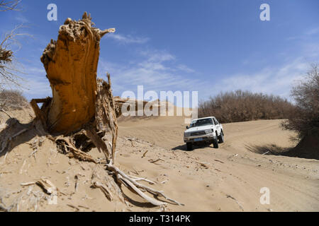 Beijing, Chine, la Région autonome du Xinjiang Uygur. Mar 19, 2019. Une voiture s'exécute dans le désert Taklimakan, nord-ouest de la Chine, la Région autonome du Xinjiang Uygur, le 19 mars 2019. Credit : Hu Karibaci/Xinhua/Alamy Live News Banque D'Images
