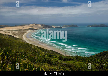 Vue à partir de la côte du cap Reinga avec ciel bleu et les nuages blancs au-dessus, Northland, Nouvelle-Zélande. Banque D'Images