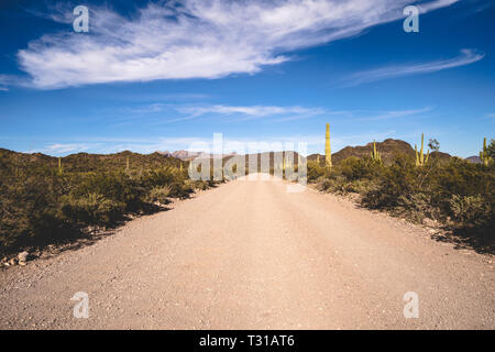 Ajo Mountain Drive, une route non goudronnée à travers le tuyau d'Orgue Monument National Cactus en Arizona Banque D'Images