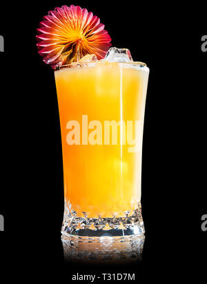 Harvey Wallbanger tournevis ou d'un cocktail sur un fond noir Banque D'Images