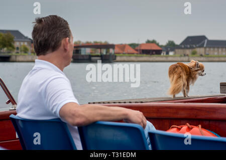 Un homme avec sa tête apple à poil long Chihuahua profiter d'une excursion en bateau dans le port de Copenhague Banque D'Images
