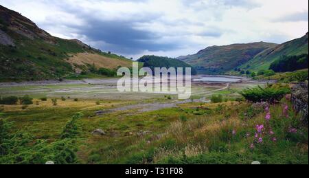 L'été au niveau du réservoir de Haweswater daught Banque D'Images