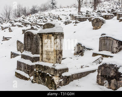 L'OId endommagé Cimetière juif au cours de siège de Sarajevo par les Serbes. Le deuxième plus grand cimetière juif d'Europe après le Vieux cimetière juif de Prague Banque D'Images