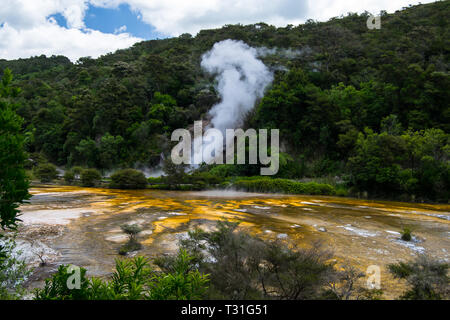 Geyser thermique à la Vallée volcanique de Waimangu à Rotorua, île du Nord, en Nouvelle-Zélande. Banque D'Images