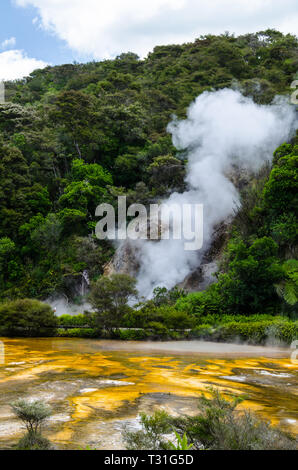 Geyser thermique à la Vallée volcanique de Waimangu à Rotorua, île du Nord, en Nouvelle-Zélande. Banque D'Images