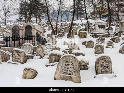 L'OId endommagé Cimetière juif au cours de siège de Sarajevo par les Serbes. Le deuxième plus grand cimetière juif d'Europe après le Vieux cimetière juif de Prague Banque D'Images