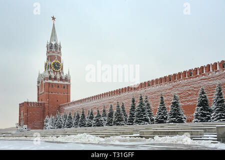 = Spasskaya Bashnya et mur du Kremlin dans la neige  = Vue de la Place Rouge sur la Tour Spasskaya (Tour du Sauveur) et une ligne de sapin bleu (Picea pungens) le long Banque D'Images