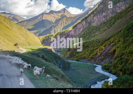 Truso Gorge colorée de la vallée vue vier rivière, forêt et montagnes derrière dans les montagnes près de Stepantsminda Kazbegi en Géorgie. Banque D'Images