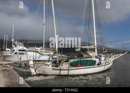 Port de pêche hawaïenne : Une brève tempête de pluie de l'après-midi passe au-dessus d'un petit port dans les îles hawaïennes. Banque D'Images