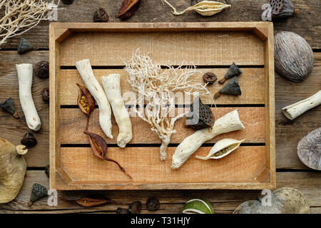 Boîte en bois, racines séchées, coquille de noix, noix de coco, plantes sèches, eucalyptus, graines de lotus pour conception floristique sur la vieille planche de bois. Vue d'en haut. Banque D'Images