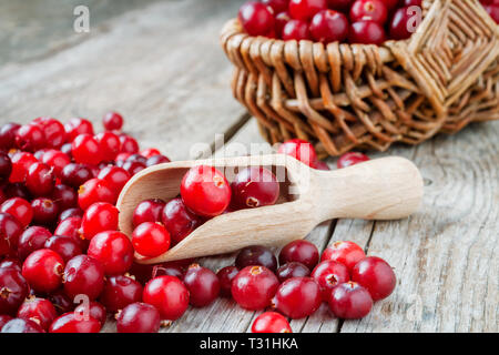 Rouge mûre les canneberges, scoop et panier de fruits rouges sur l'arrière-plan. Banque D'Images