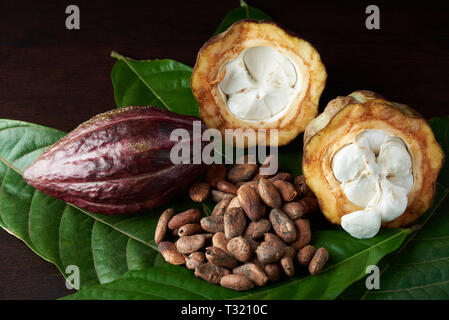 Les fèves de cacao biologiques crus sur table en bois sombre. Banque D'Images