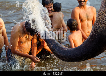 L'éléphant Laxmy personnes baignade à la rivière Tungabhadra, Hampi, Karnataka, Inde Banque D'Images