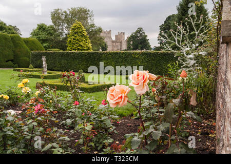 Les jardins de roses à Raby Castle,Staindrop,Angleterre,UK Banque D'Images