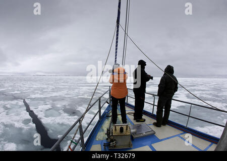 Les touristes en croisière Voilier, Spitzberg, l'océan Arctique, en Norvège Banque D'Images