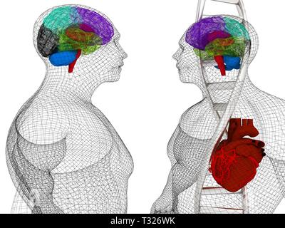 Formation médicale en 3D avec des brins d'ADN et le corps humain modèle avec cœur et cerveau dans x-ray. 3D render Banque D'Images