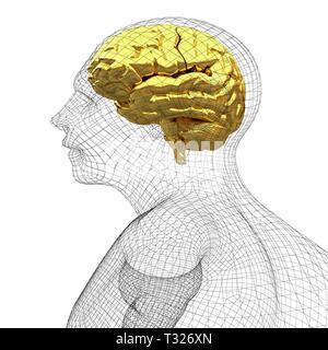 Tête humaine sur le fil d'or modèle cerveau. 3D render Banque D'Images