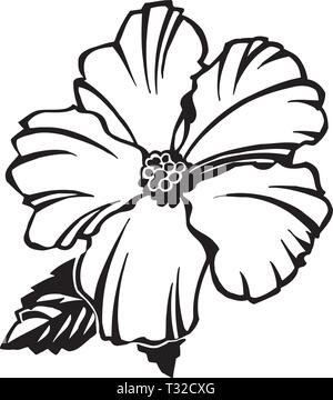 Illustration d'Hibiscus Illustration de Vecteur