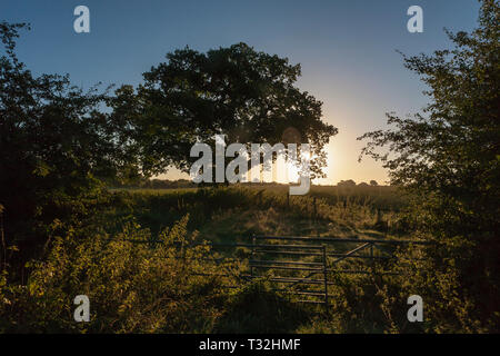 Lever du soleil sur la campagne près de Audlem, East Cheshire, Angleterre, à partir de la neige, du pont du canal de Shropshire Union Banque D'Images