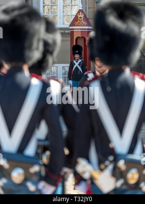 Les troupes de la famille royale danoise des maîtres nageurs au garde à vous sur le défilé à l'Amalienborg Palace, au cours de la relève de la garde. Banque D'Images