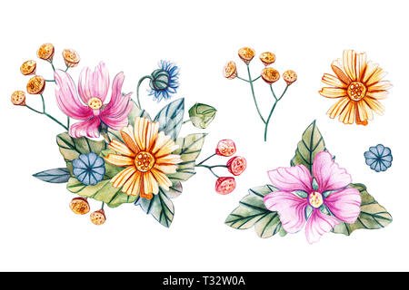 Watercolor illustration with bouquets of wildflowers for a wedding. Floral card with pink mallow flowers, yellow chamomile, yellow tansy and blue dais Banque D'Images