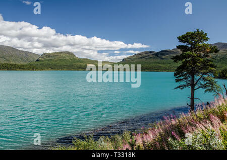 Incroyable vue sur le lac dans le parc national de Jotunheimen avec ciel bleu au-dessus et vert arbre sur la droite. Banque D'Images