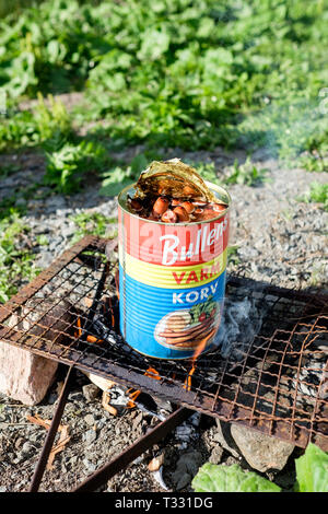 La cuisson une boîte de Bullens hot-dogs sur un barbecue en plein air en Suède en été. Banque D'Images