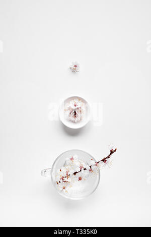 Fleurs blanc composition minimaliste zen sur fond blanc avec de l'espace libre pour votre texte Banque D'Images