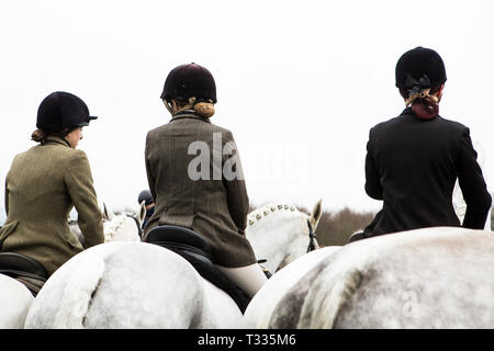 Les jeunes cavaliers de la vieille Surrey Burstow et West Kent Hunt se réunissent au Château de Chiddingstone pour le traditionnel Boxing Day rencontrez dans le Kent, UK Banque D'Images