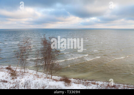 Vue aérienne de la côte de la Mer Baltique avec calme les vagues et les bouleaux sur la côte. L'heure d'hiver. Banque D'Images
