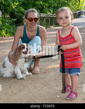 Mère, fille et bébé Cavalier King Charles Spaniel, sentier de Butler dans le parc Zilker à Austin, Texas, États-Unis Banque D'Images