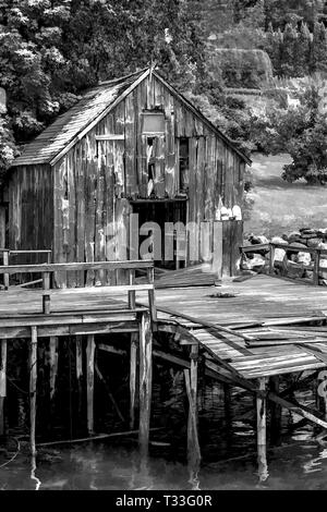 Illustration photo noir et blanc d'une vieille cabane en bois debout sur un quai en charge avec piers par étapes de l'effondrement. New Harbor, Maine, USA. Banque D'Images