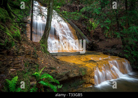 Cascade d'or tombe en terrasse - grande vasque State Park, Santa Cruz Mountains Banque D'Images