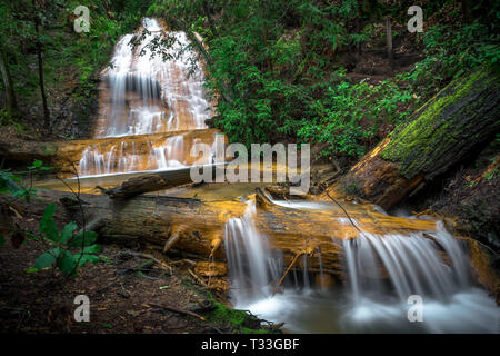 Golden Cascade Falls - Big Basin State Park, Santa Cruz Mountains Banque D'Images