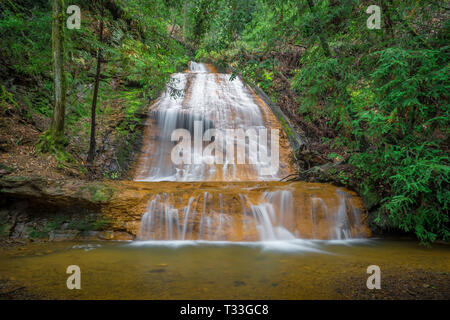 Golden Cascade Falls - Big Basin State Park, Californie Banque D'Images