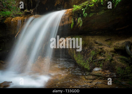 Cascade parfaite - Grand Bassin State Park, Santa Cruz Mountains, en Californie Banque D'Images