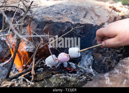 Trois bonbons guimauve sur une brochette en bois, caramélisée dans une camp Banque D'Images