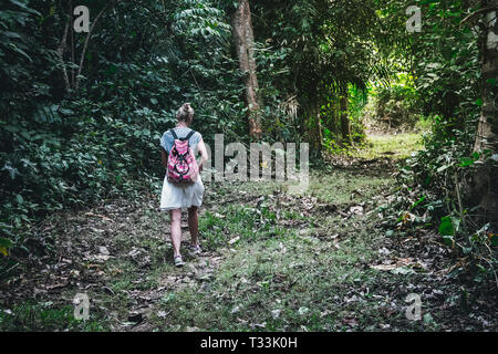 Vue de la photo d'une femelle frisée sportive avec un sac à dos marche à travers la forêt tropicale forêt vert foncé avec un jour d'été. Student Banque D'Images