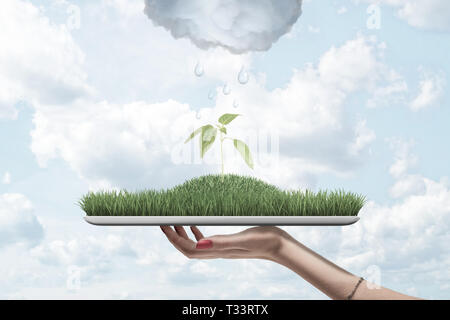 Vue latérale du woman's hand holding comprimé avec de l'herbe verte sur le dessus avec green sprout en centre avec pluie nuages au-dessus contre ciel nuageux. Banque D'Images