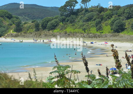 Les personnes bénéficiant de congés d'été sur la populaire place de camping Nouvelle-zélande Bay Maitai dans Northland. Banque D'Images