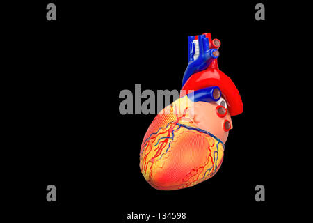 Cœur de l'homme artificiel isolé modèle sur fond noir Banque D'Images