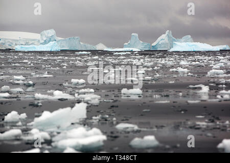 Les icebergs au large de l'Île Anvers, dans l'archipel Palmer, de l'Antarctique. Banque D'Images