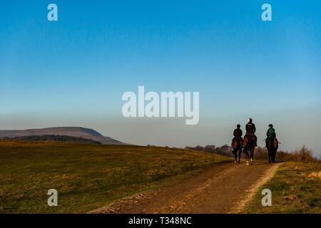 Jockeys et chevaux de course après l'entraînement du matin sur les galops de Middleham, Yorkshire du Nord Banque D'Images