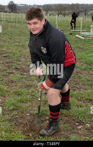 La Rugby Football Union est la plantation d'un bosquet d'arbres en l'honneur de ceux qui ont vécu et servi dans la Première Guerre mondiale. On mentionnera en particulier le capitaine de corvette Arthur Leyland Harrison qui était un officier de la marine royale anglaise et première guerre mondiale, décoré de la Croix de Victoria - il a joué rugby union et a été couvert deux fois pour l'Angleterre et l'Angleterre est la seule à avoir été international reçu la Croix. Il a été tué au combat à Zeebrugge, Belgique le 23 avril 1918, 32 ans. La plantation d'arbre ont été Jeff Blackett, Vice-président de la Rugby Football Union et son fils sera commandant Blackett, comme nous Banque D'Images