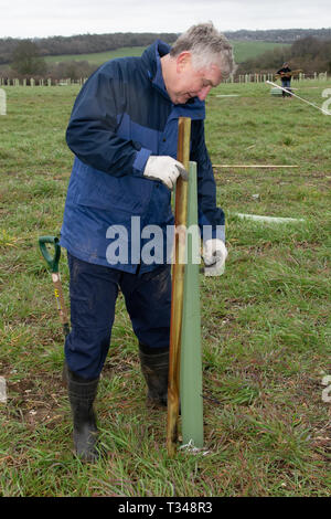 La Rugby Football Union est la plantation d'un bosquet d'arbres en l'honneur de ceux qui ont vécu et servi dans la Première Guerre mondiale. On mentionnera en particulier le capitaine de corvette Arthur Leyland Harrison qui était un officier de la marine royale anglaise et première guerre mondiale, décoré de la Croix de Victoria - il a joué rugby union et a été couvert deux fois pour l'Angleterre et l'Angleterre est la seule à avoir été international reçu la Croix. Il a été tué au combat à Zeebrugge, Belgique le 23 avril 1918, 32 ans. La plantation d'arbre ont été Jeff Blackett, Vice-président de la Rugby Football Union et son fils sera commandant Blackett, comme nous Banque D'Images