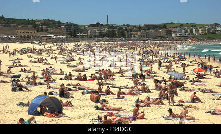 SYDNEY, AUSTRALIE - 31 janvier 2016 : foule estivale à Bondi Beach, Australie Banque D'Images