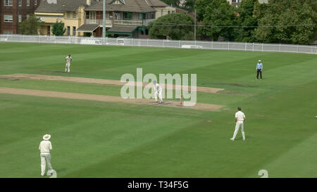 SYDNEY, AUSTRALIE - janvier 31, 2016 sydney cricket grade : Banque D'Images