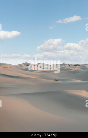 Les dunes de sable, les dunes de sable plat mesquite, Death Valley, California, United States Banque D'Images